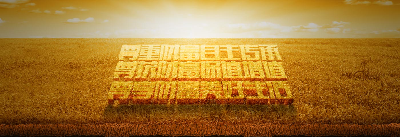 中尊cnw
